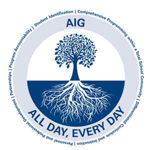 AIG Logo